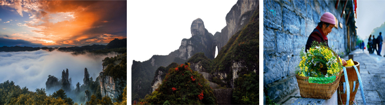 張家界跟團游,張家界自由行,張家界自駕游,張家界中國國際旅行社有限公司