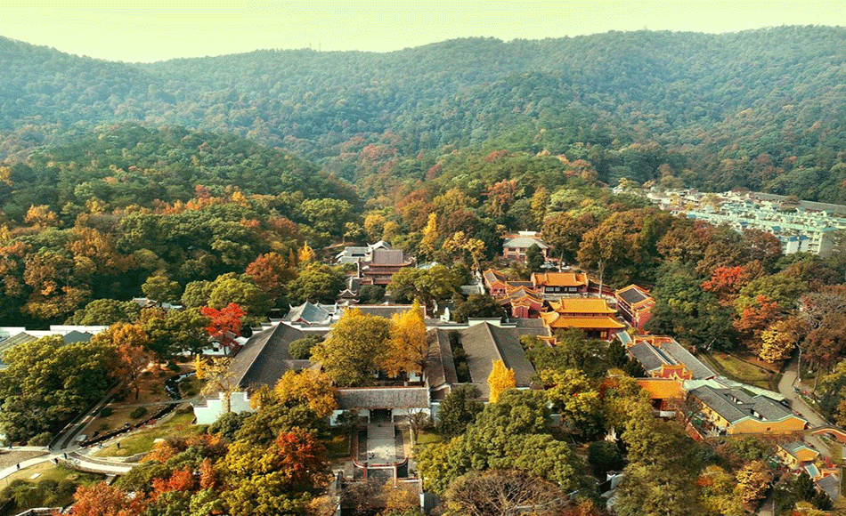 張家界跟團(tuán)游,張家界旅游攻略5天自由行,張家界自駕游,張家界旅游路線攻略,張家界中國國際旅行社